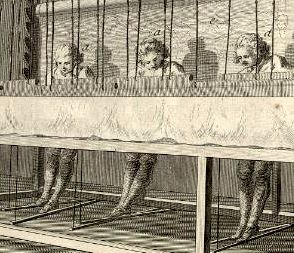 Interieur Dun Metier De Basse Lisse Encyclopedie Tome 9 Planche I